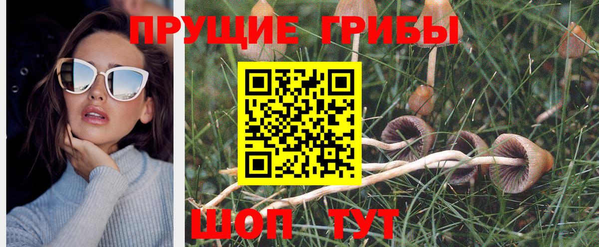 Галлюциногенные грибы Magic Shrooms  Вход с VPN  Пыть-Ях  купить  цена  Псилоцибиновые грибы Cubensis 